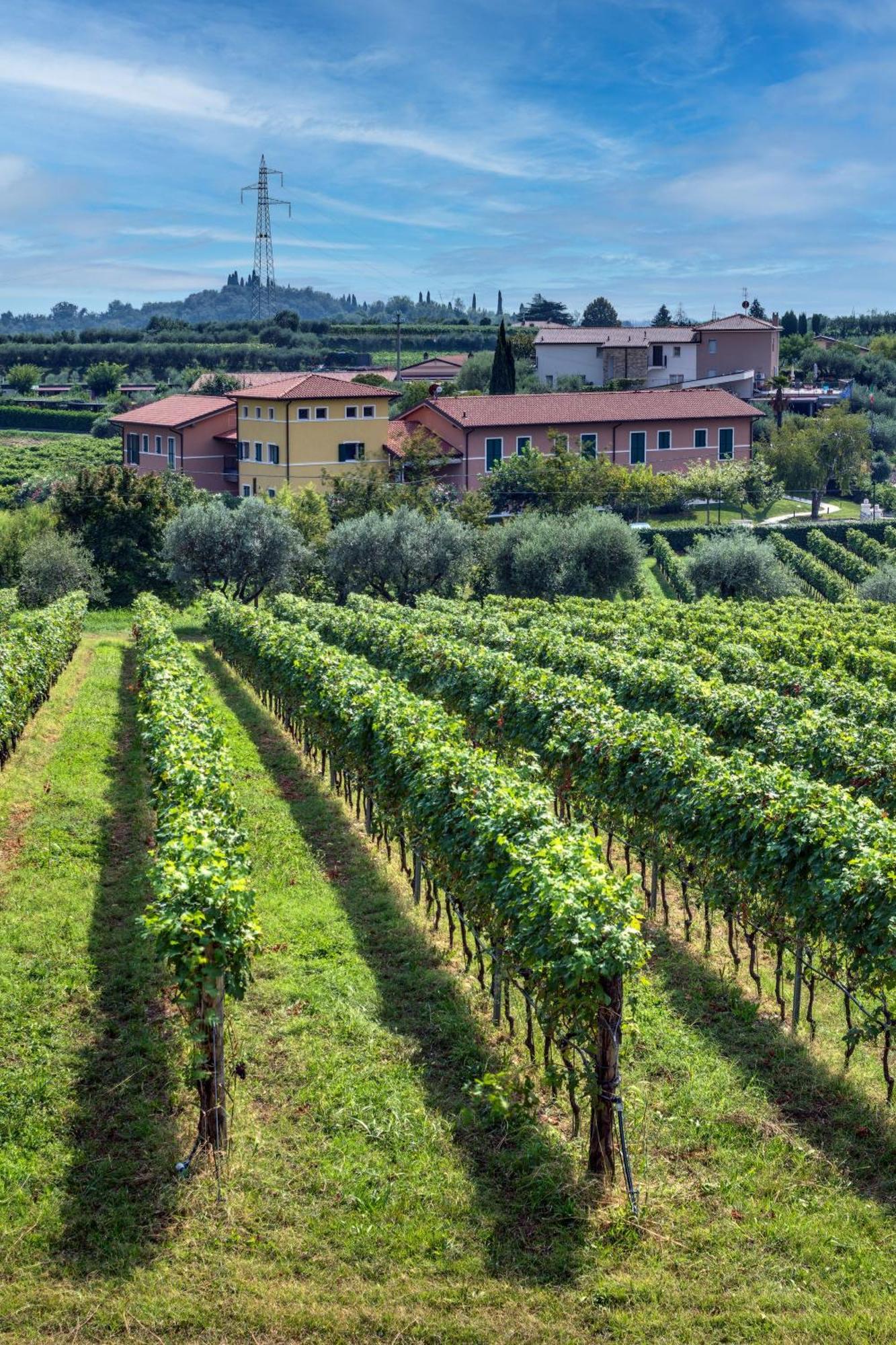 Tenuta Di Palu 巴多利诺 外观 照片