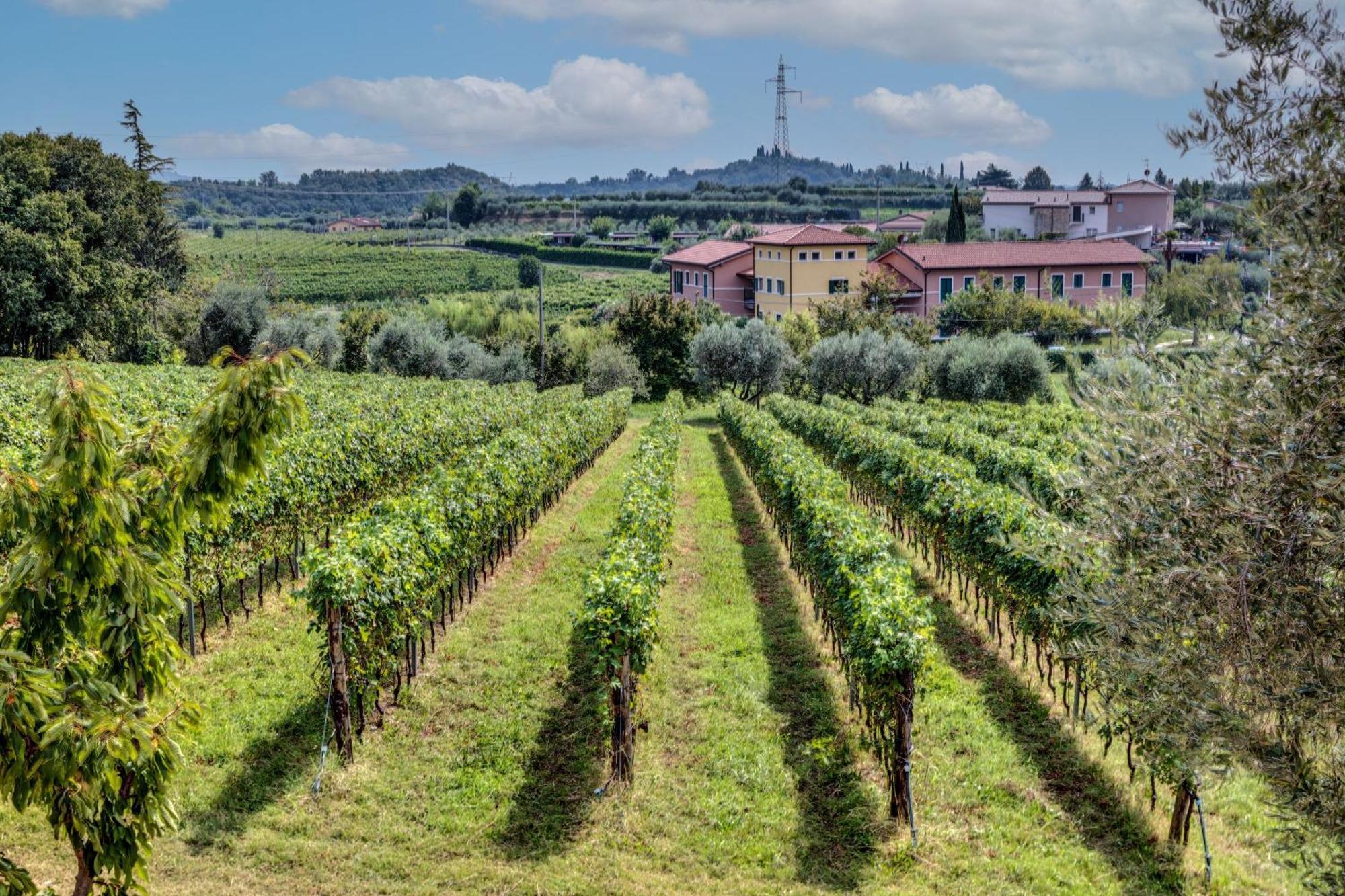 Tenuta Di Palu 巴多利诺 外观 照片
